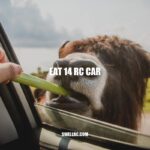 Eat 14 RC Car Challenge: Risks and Viral Impact