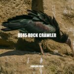 Exploring the Power and Versatility of the DE45 Rock Crawler