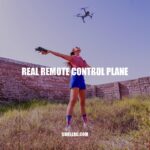 Exploring the World of Remote Control Planes