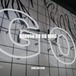 Hanvon Go Go Bird: The Ultimate Flying Toy for Imaginative Play and Stress Relief