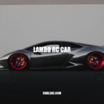 Lambo RC Car: The Ultimate Toy for Car Enthusiasts.