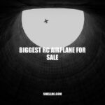 MX2 30CC Gas Arf: The Biggest RC Airplane for Sale