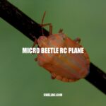 Micro Beetle RC Plane: Compact and Maneuverable Fun for Hobbyists