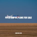 Piper Cub RC Plane: Features, Performance, and Pros and Cons