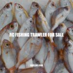 RC Fishing Trawler: Features, Brands, and Buying Tips
