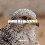 Yuxiang F09 Black Hawk: High-Performing and Agile RC Helicopter