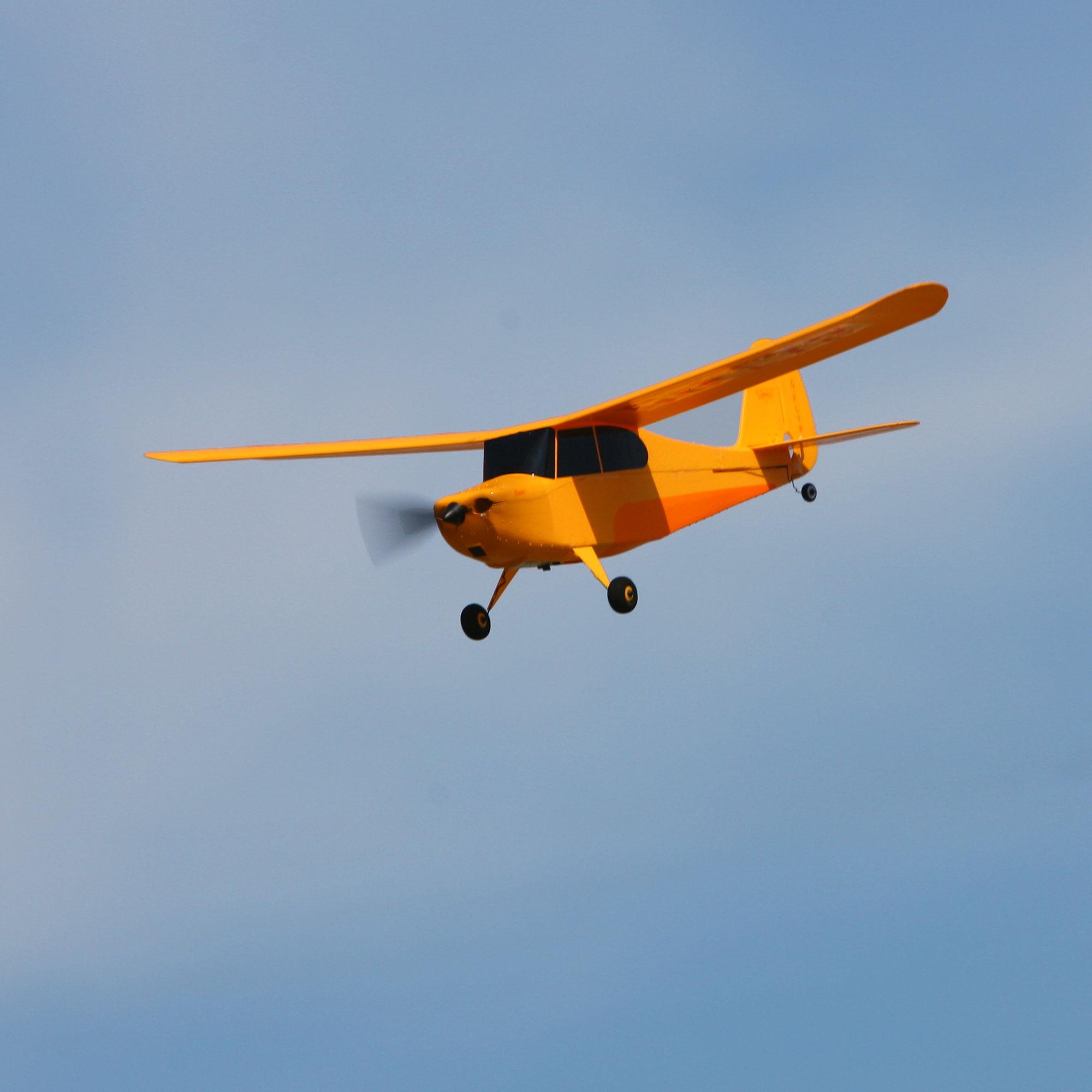 Champ Rc Plane: Excellent Flight Performance