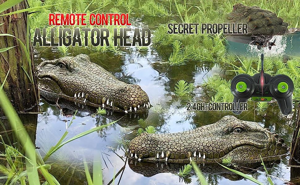 Remote Control Alligator Head Prank: Remote Control Alligator Head Prank Safety Tips