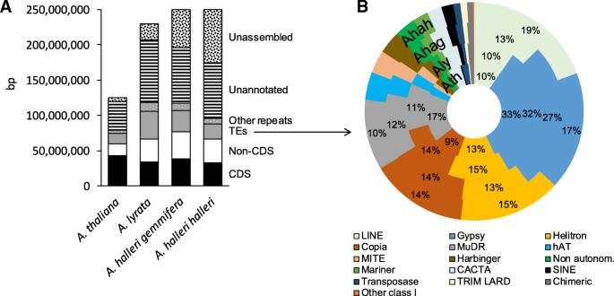 Yd2S: Yd2s: A Transposable Element for Enhancing Rice Pigment Abundance and Distribution