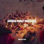 Banana Hobby Warbirds: A Guide to Flying and Competitions.