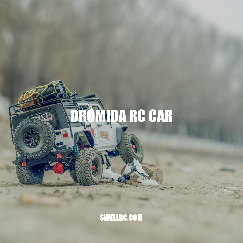 Dromida RC Car: A High-Performance, Customizable Option for Hobbyists