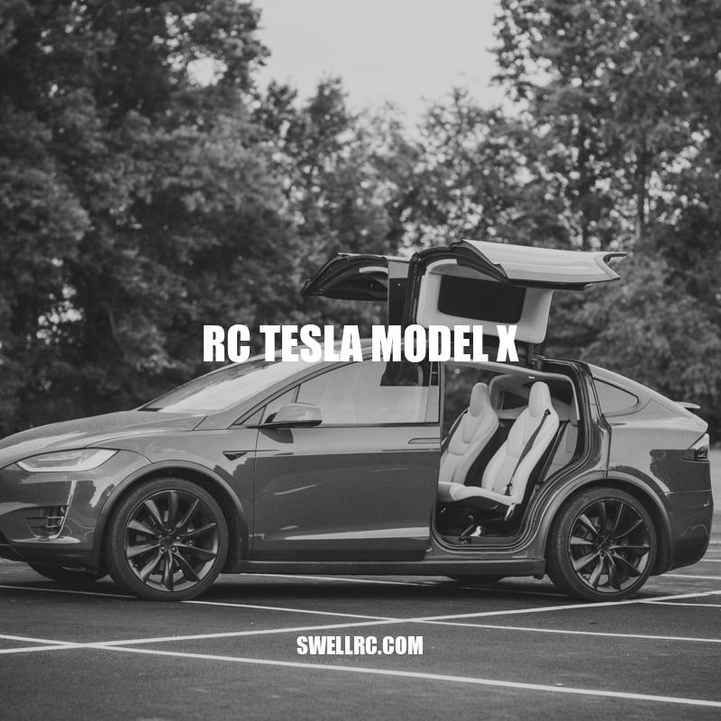 Exploring the Features and Performance of the RC Tesla Model X