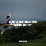 Exploring the World of Remote Control Flying Aeroplanes