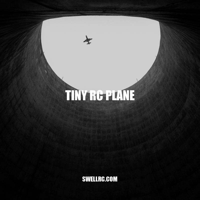 Mastering Tiny RC Plane Flying