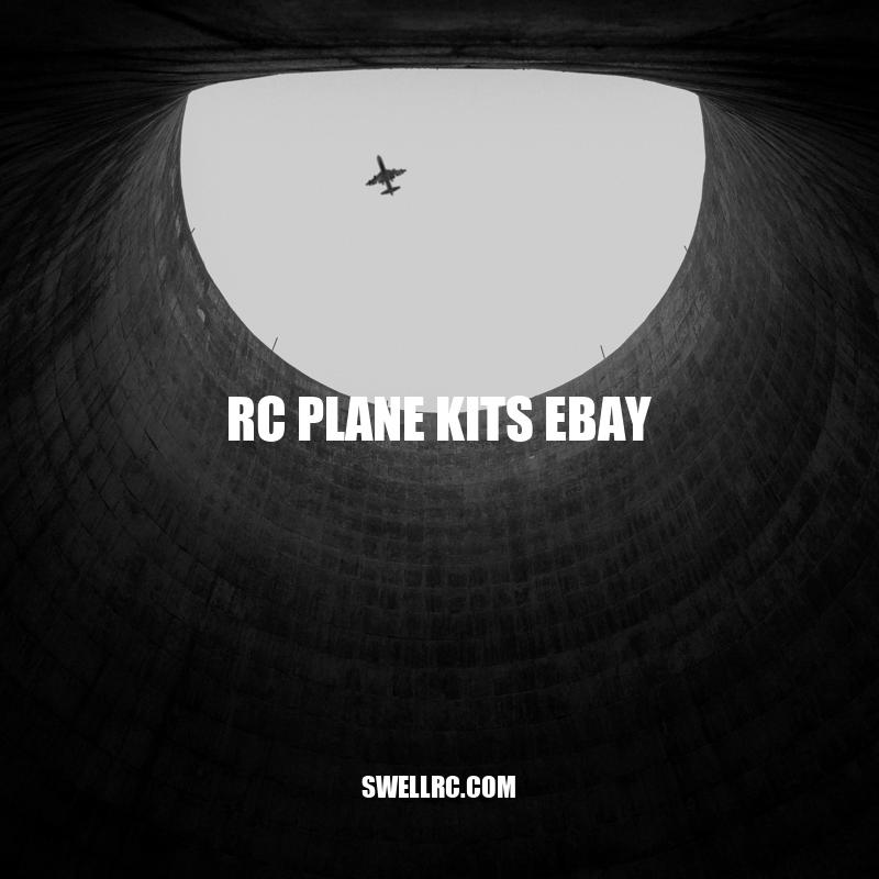 RC Plane Kits on eBay: Tips, Precautions, and Alternatives.