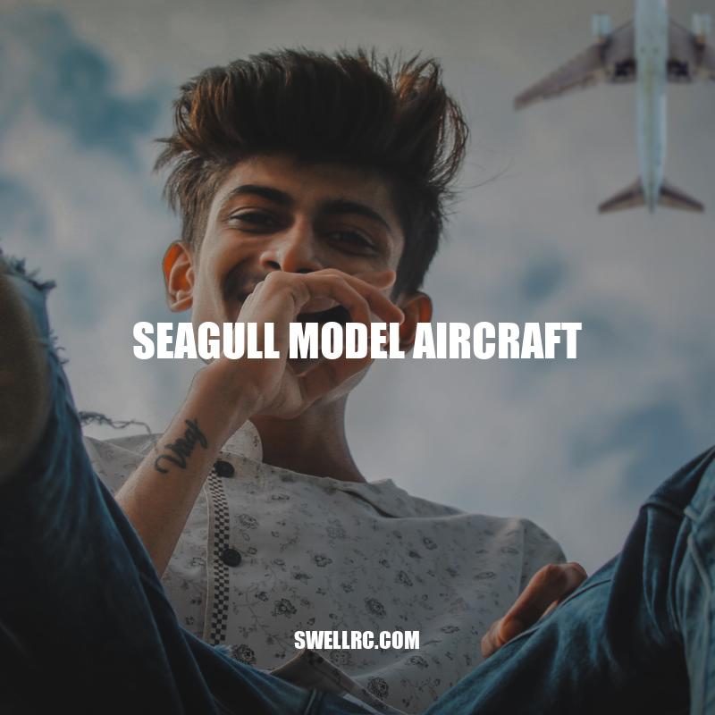 Seagull Model Aircraft: High-Performance and Realistic RC Flying Experience