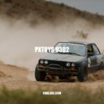 pxtoys 9302: The Ultimate RC Off-Road Racing Car