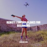 Beginner's Guide: Soaring High with Remote Control Planes