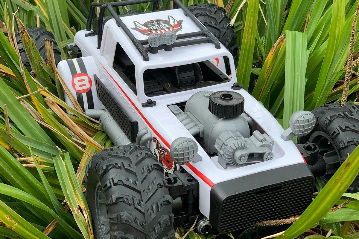Affordable RC Cars for Every Budget