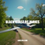 Black Horse RC Planes Review: Expert Insights