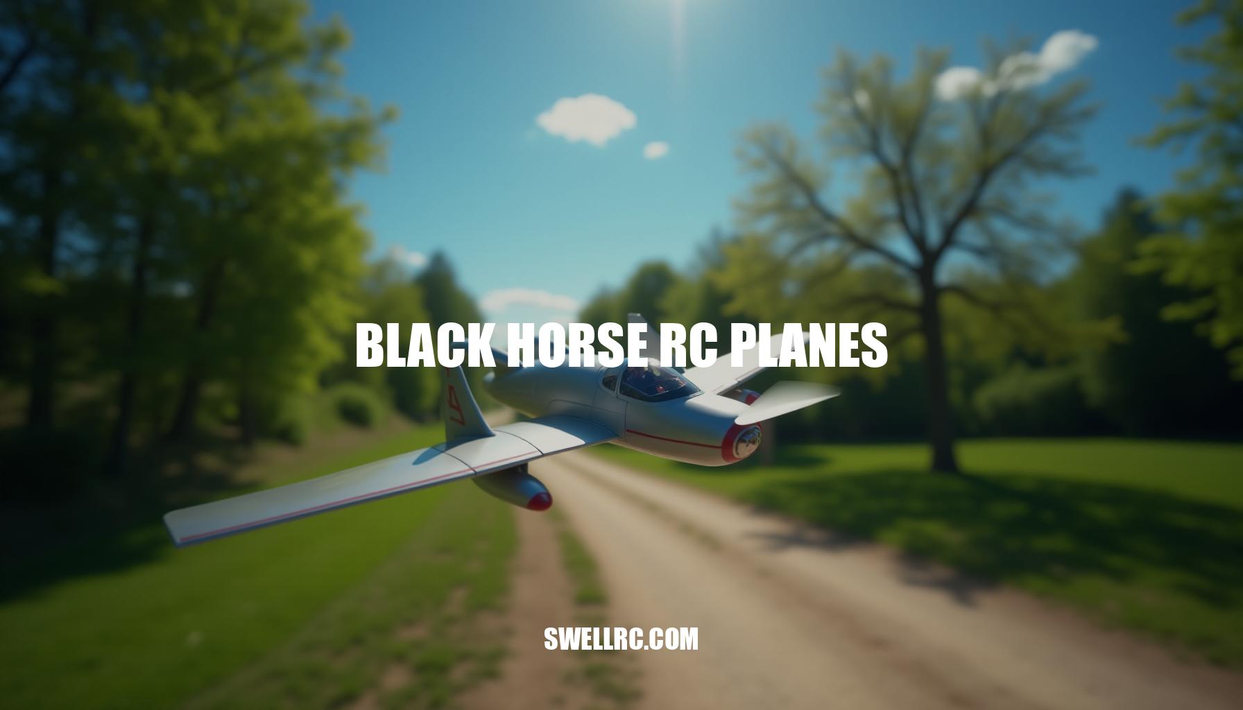 Black Horse RC Planes Review: Expert Insights