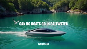 Can RC Boats Go in Saltwater? A Guide to Marine RC Boating