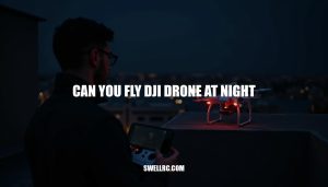 Can You Fly DJI Drone at Night? A Comprehensive Guide