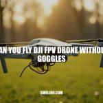 Can You Fly DJI FPV Drone Without Goggles?
