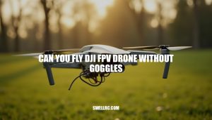 Can You Fly DJI FPV Drone Without Goggles?