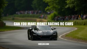Can You Make Money Racing RC Cars?