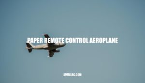 Designing and Flying Your Paper Remote Control Aeroplane