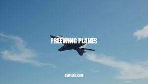 Freewing Planes Review: Unleashing the Thrill of RC Jet Flying