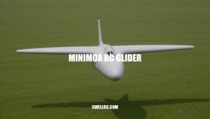 Minimoa RC Glider: A Timeless Icon of Scale and Aerodynamics