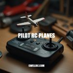 Pilot RC Planes: Expert Insights and Beginner-Friendly Options
