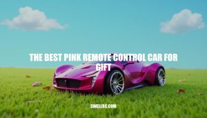 The Best Pink Remote Control Car for Gift