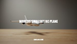 The World's Smallest RC Plane: A Marvel of Miniaturization